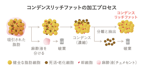 コンデンスリッチファット（CRF）の加工プロセス