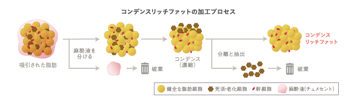 コンデンスリッチファット（CRF）の加工プロセス
